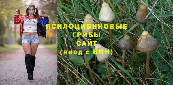 шишки Белокуриха