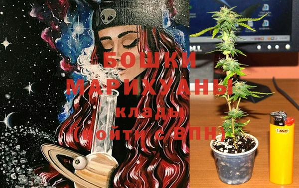 шишки Белокуриха