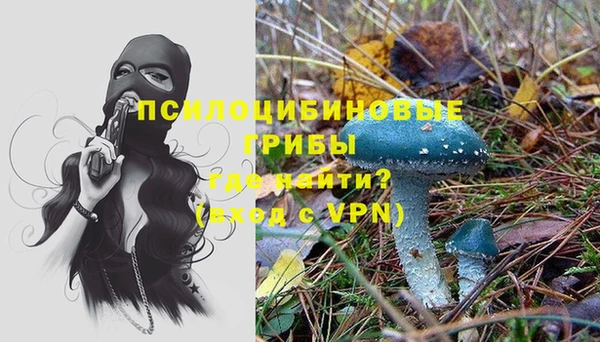 трава Богданович