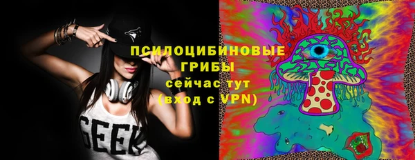 ПСИЛОЦИБИНОВЫЕ ГРИБЫ Белоозёрский