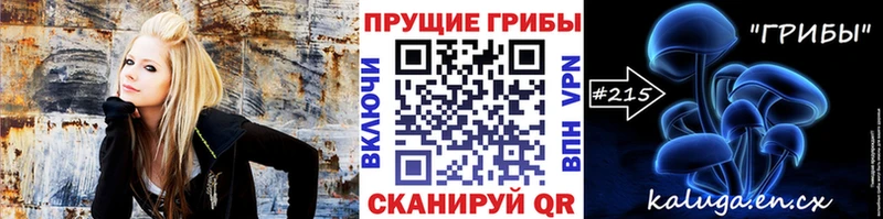 Псилоцибиновые грибы Psilocybe  блэк спрут ссылка  Армавир 